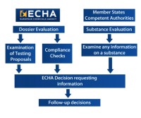 Figure 1. Evaluation Overview. Source: ECHA