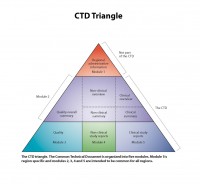 Common Technical Document triangle
