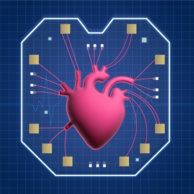 NIST Heart on a Chip